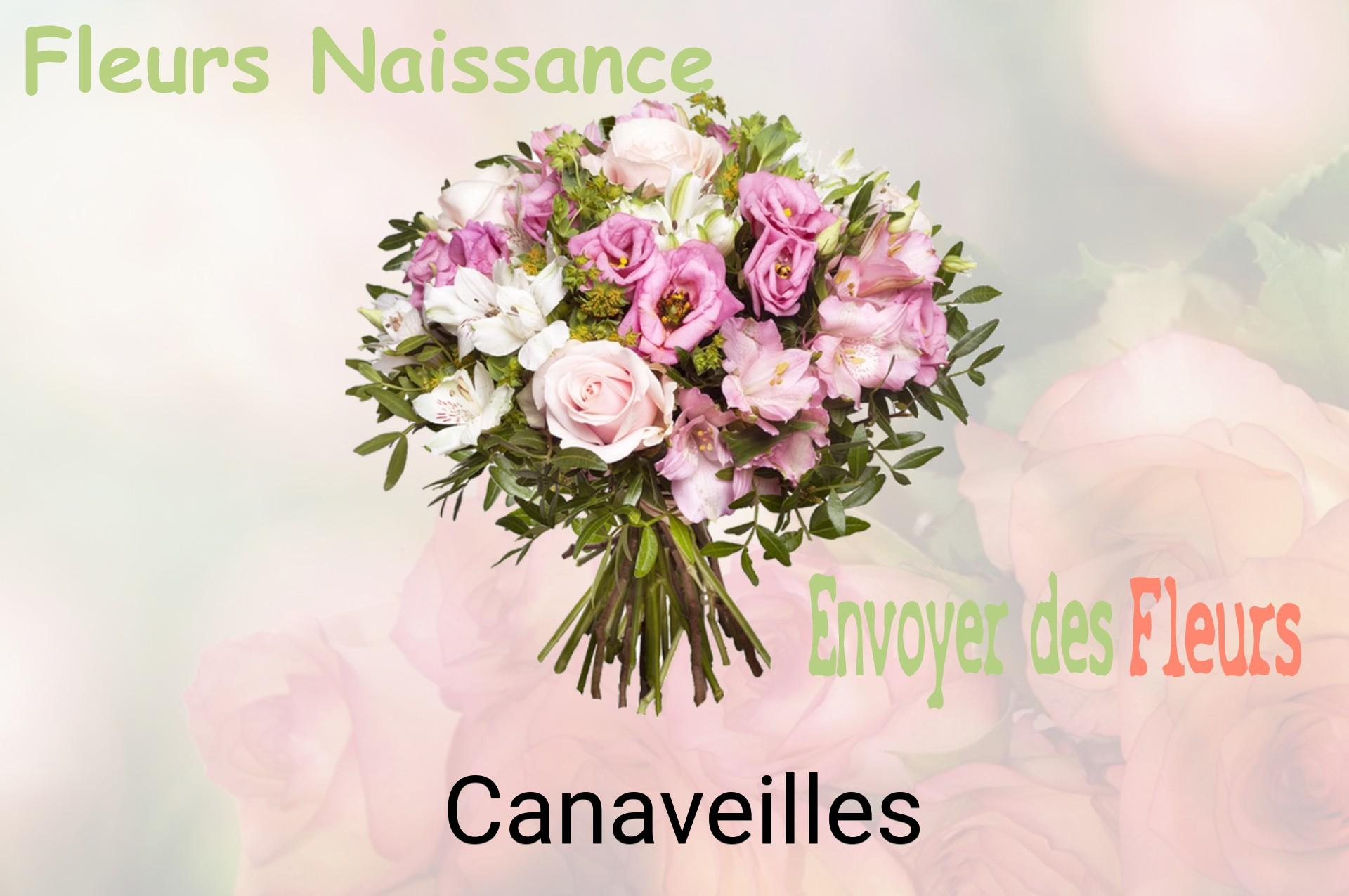Bouquet de fleurs de naissance livré à Canaveilles